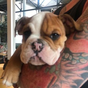 Meet your Posher, Shane